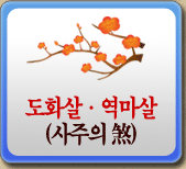 Ǯ̿